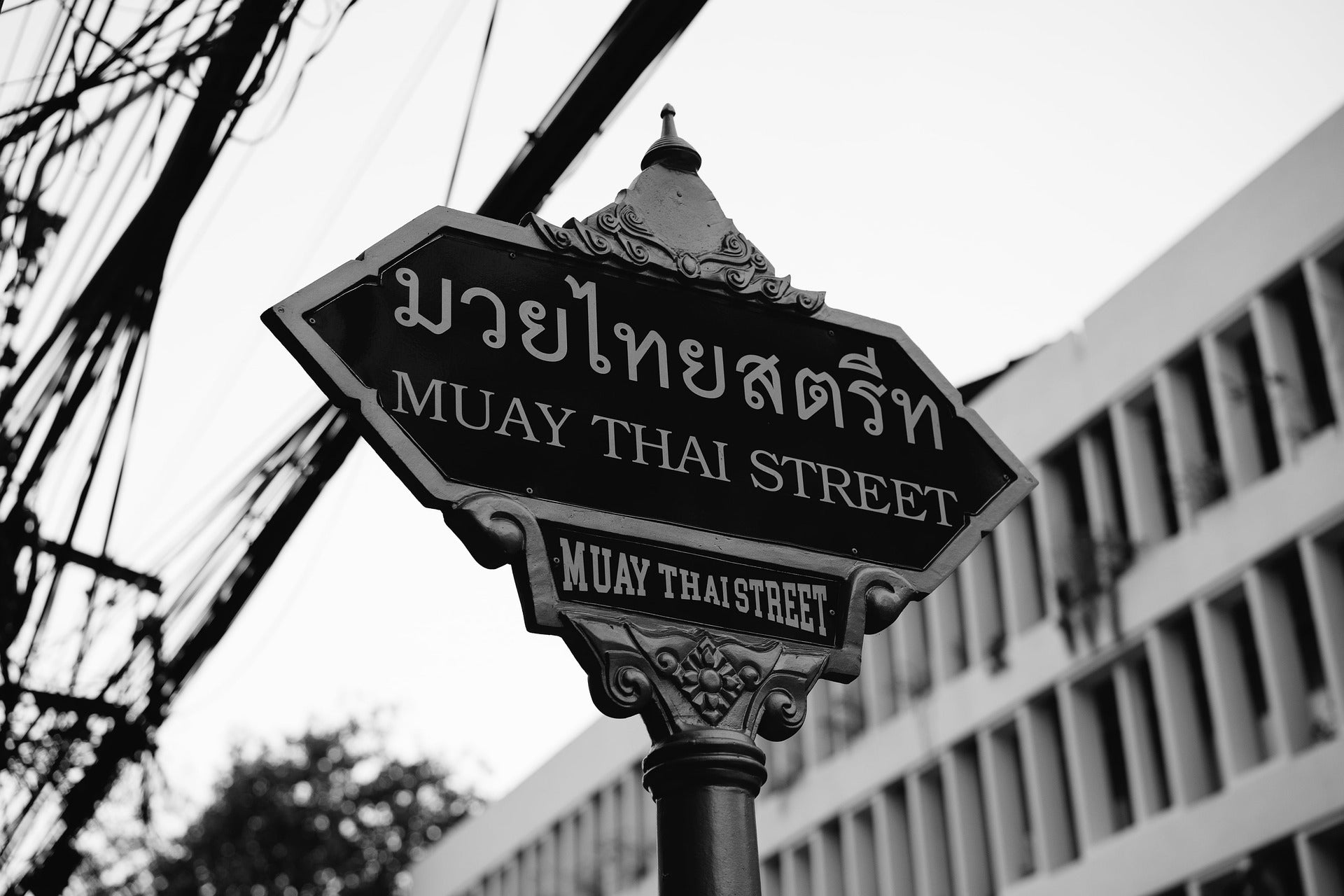 Thailand Training Camps for Muay Thai 