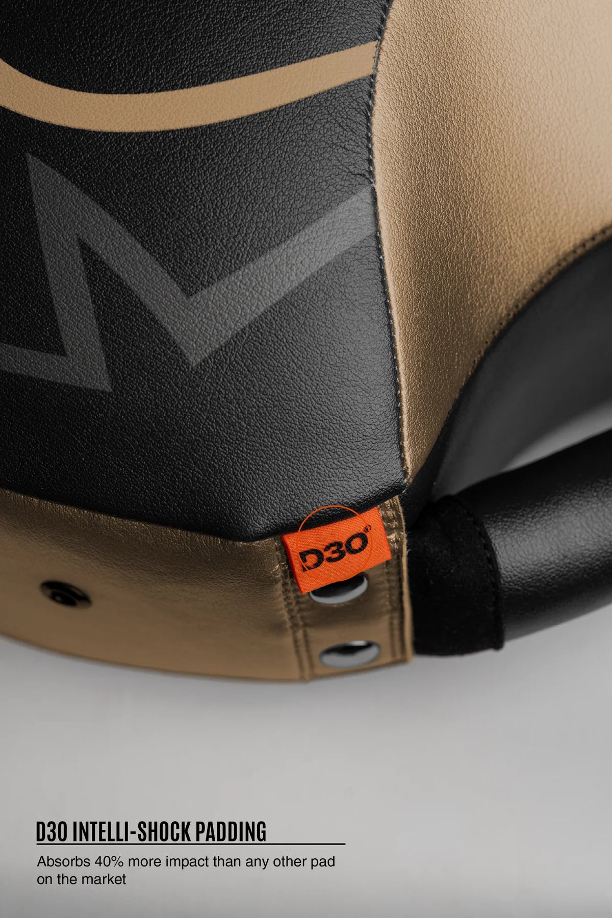 Rival RPS100 Professional Punch Shield