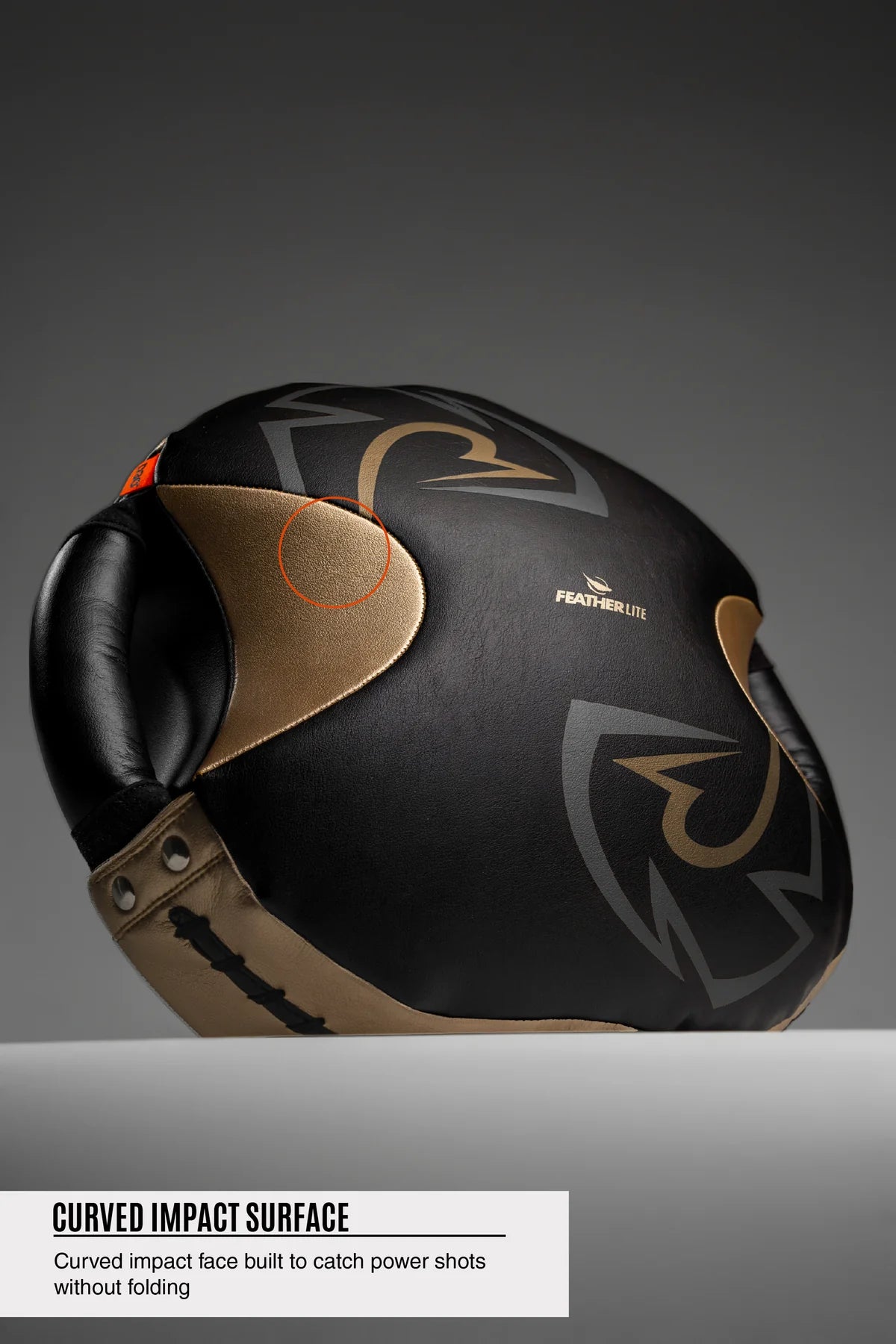 Rival RPS100 Professional Punch Shield