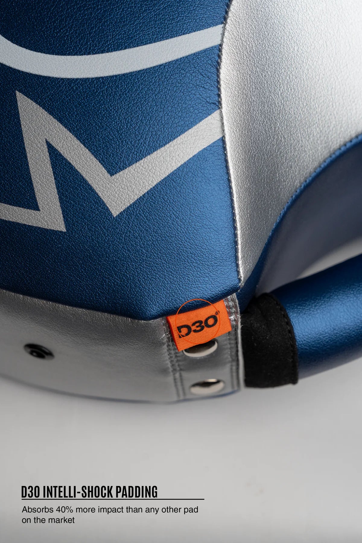 Rival RPS100 Professional Punch Shield