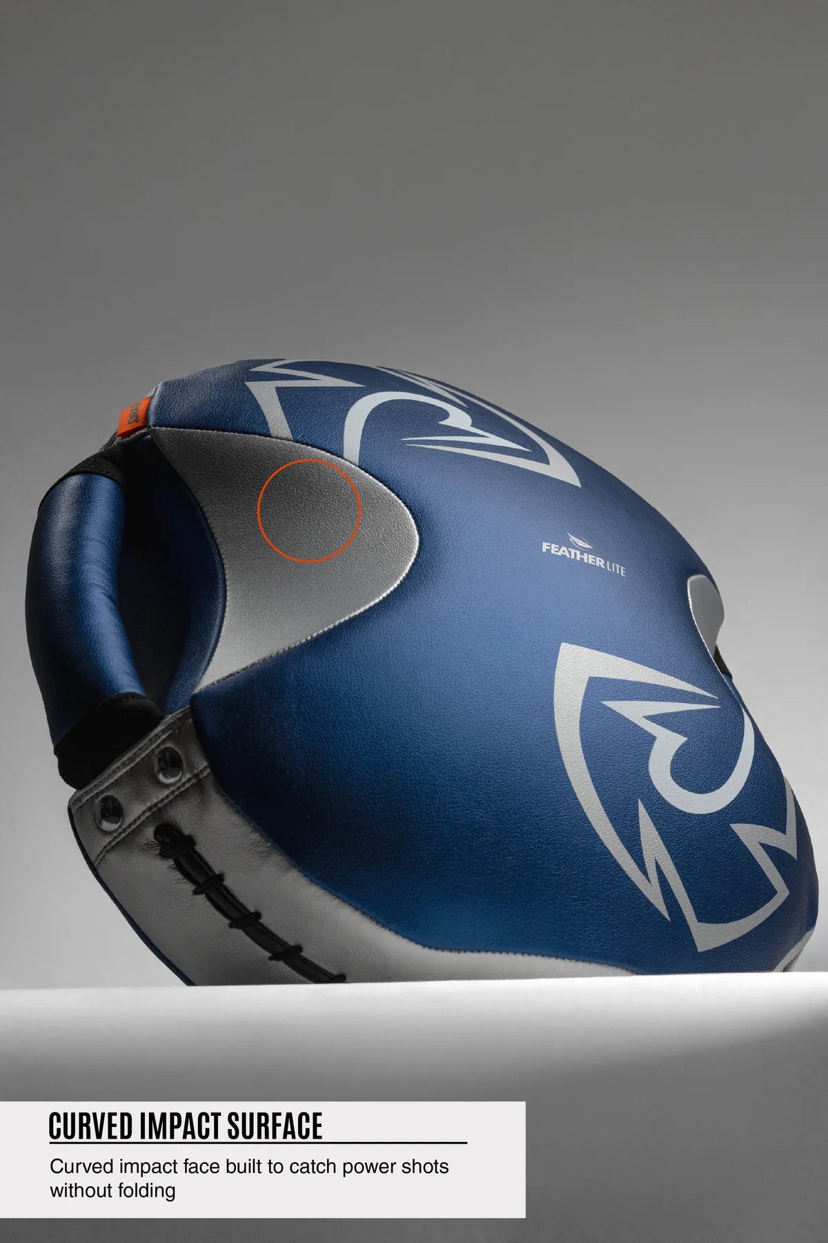 Rival RPS100 Professional Punch Shield