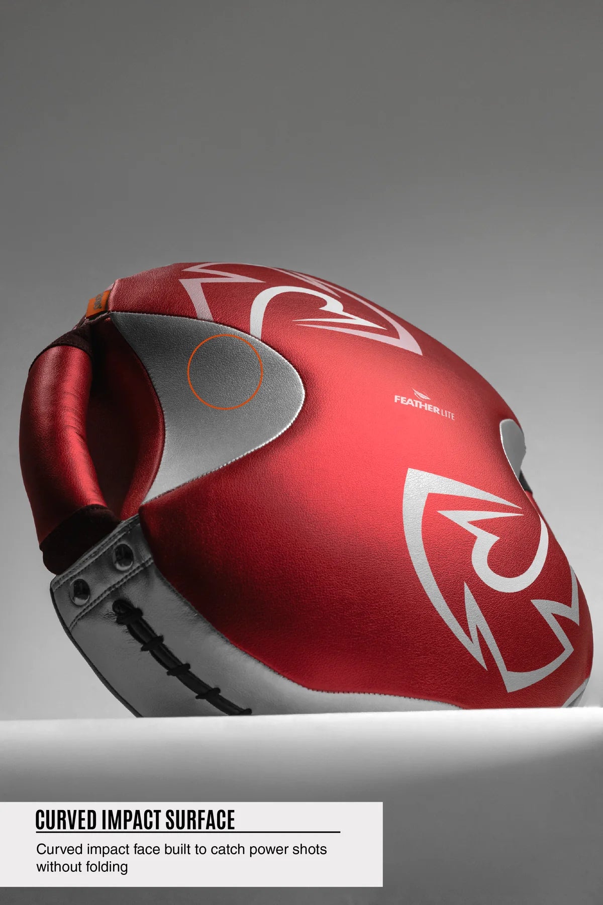 Rival RPS100 Professional Punch Shield