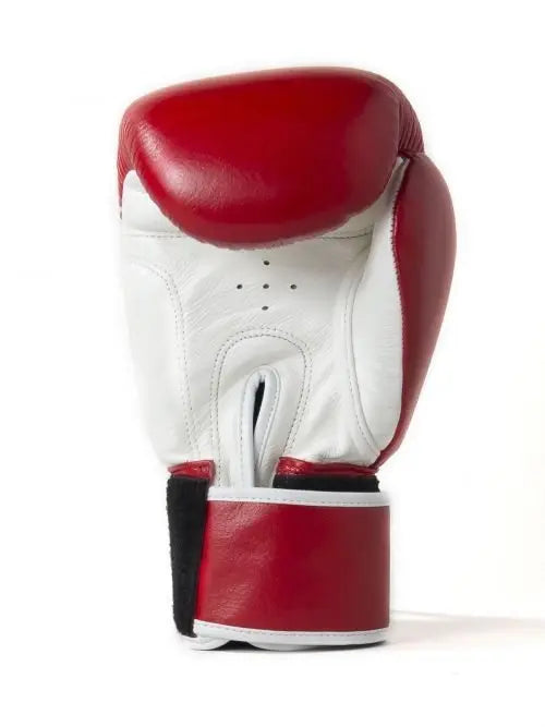 Sandee 2 Tone Boxing Gloves Sandee
