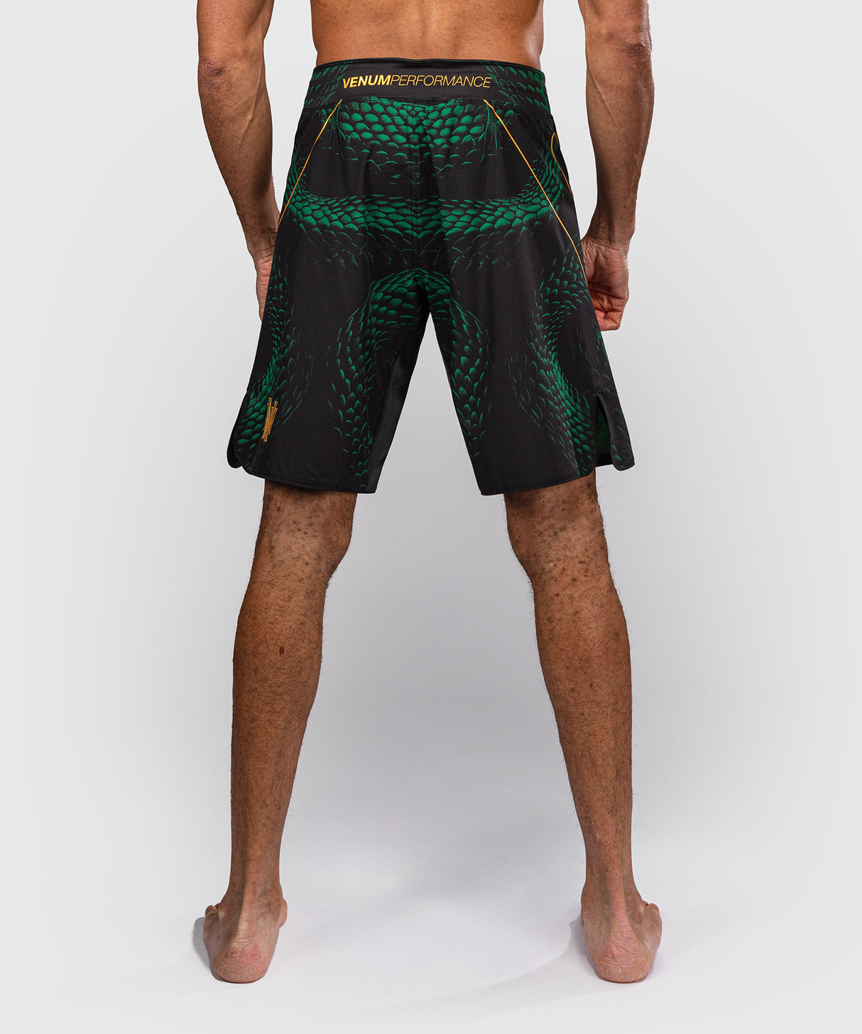 Venum Matupa Fight Shorts