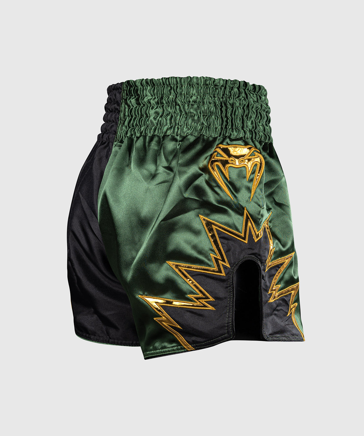 Venum Inferno 2.0 Muay Thai Shorts
