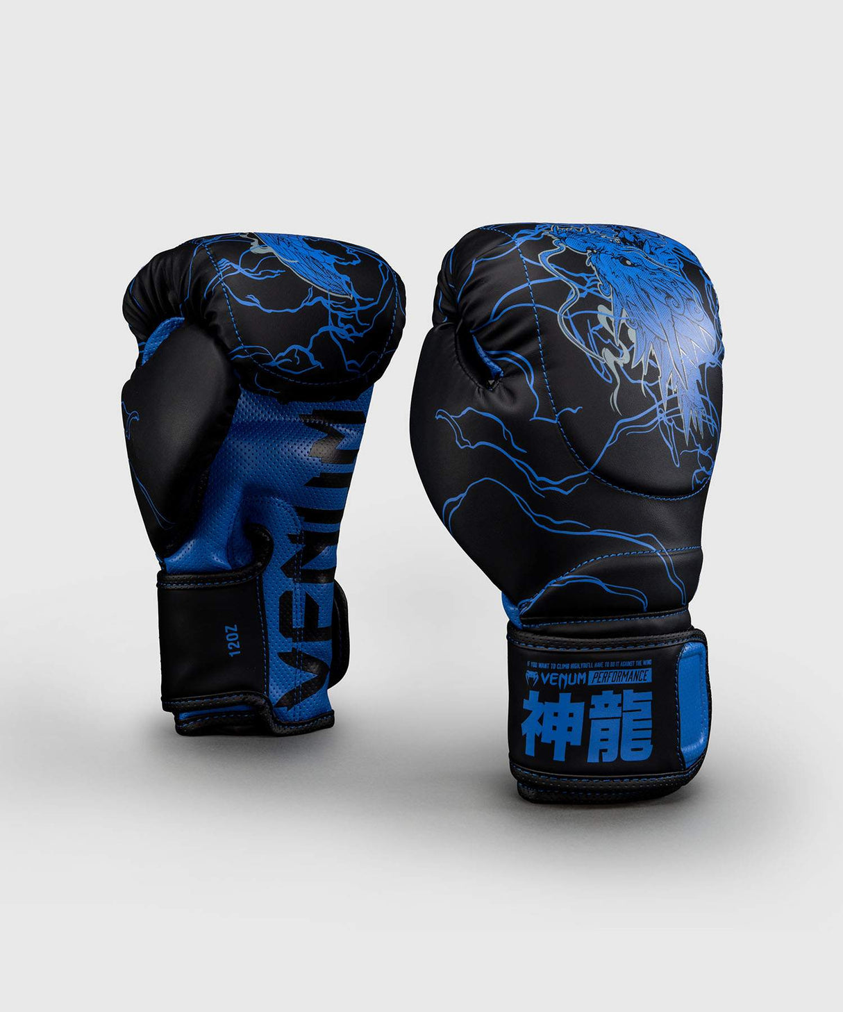 Venum Thunder Dragon Boxing Gloves