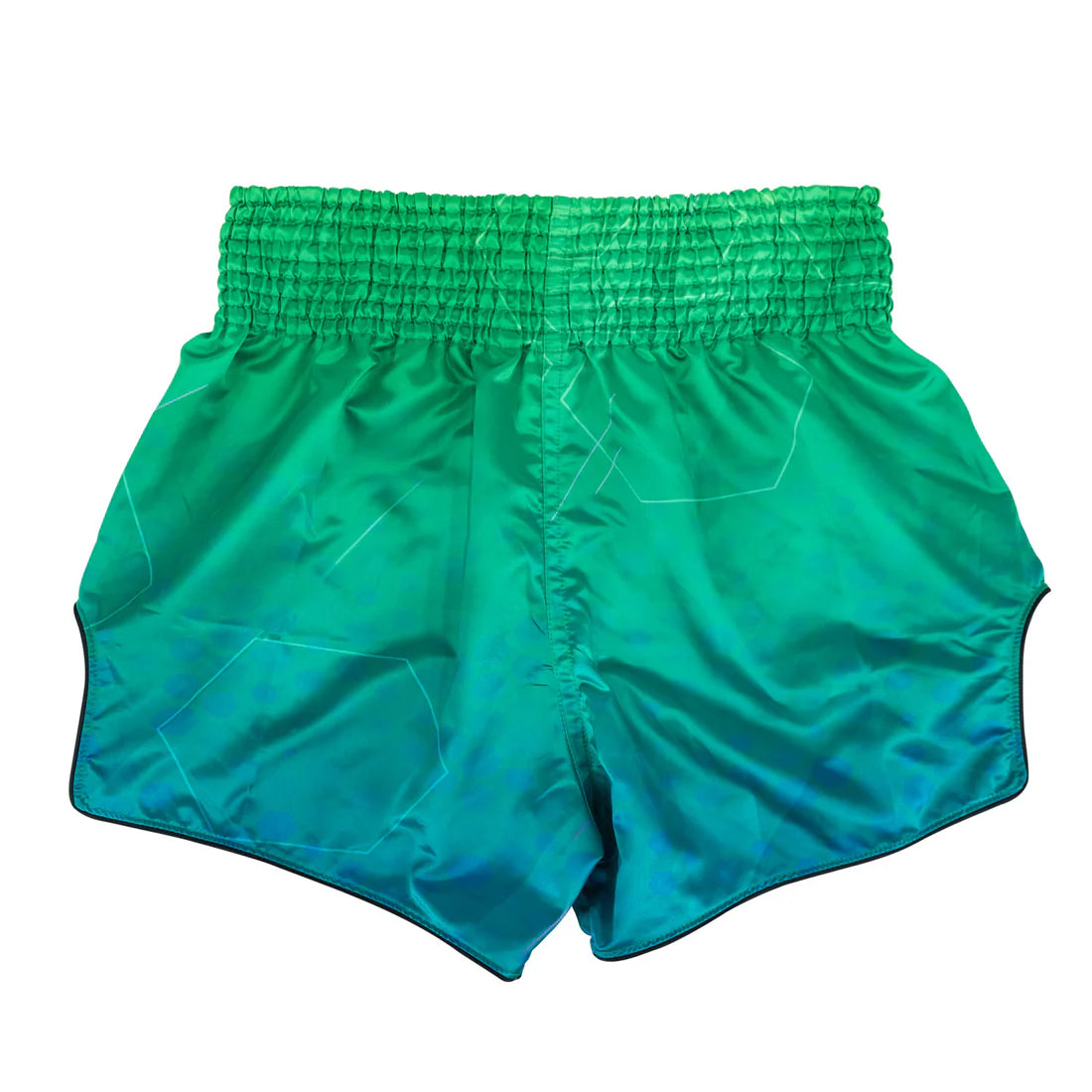Fairtex Quantum Muay Thai Shorts