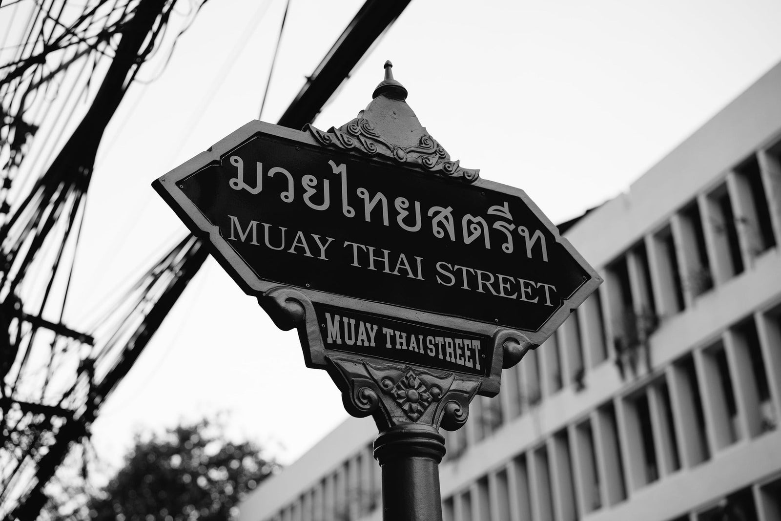 Thailand Training Camps for Muay Thai 