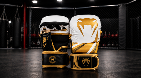 MMA Gloves Buying Guide