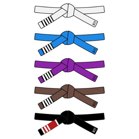 Image of BJJ rank belts | Fight Co