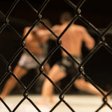 MMA