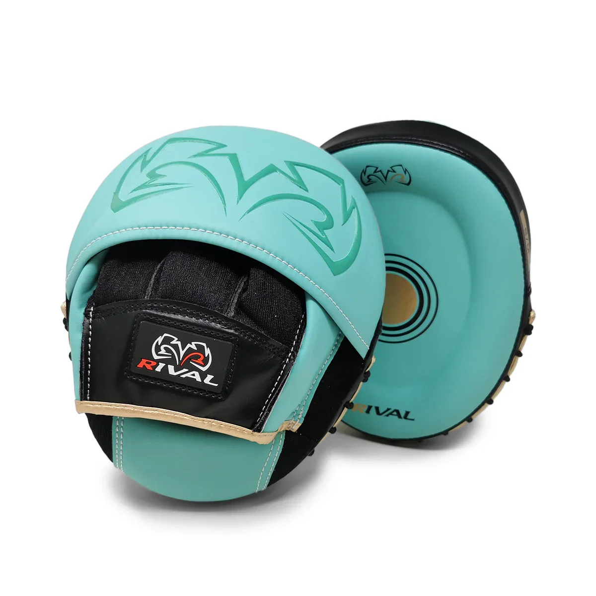 Boxing Pads