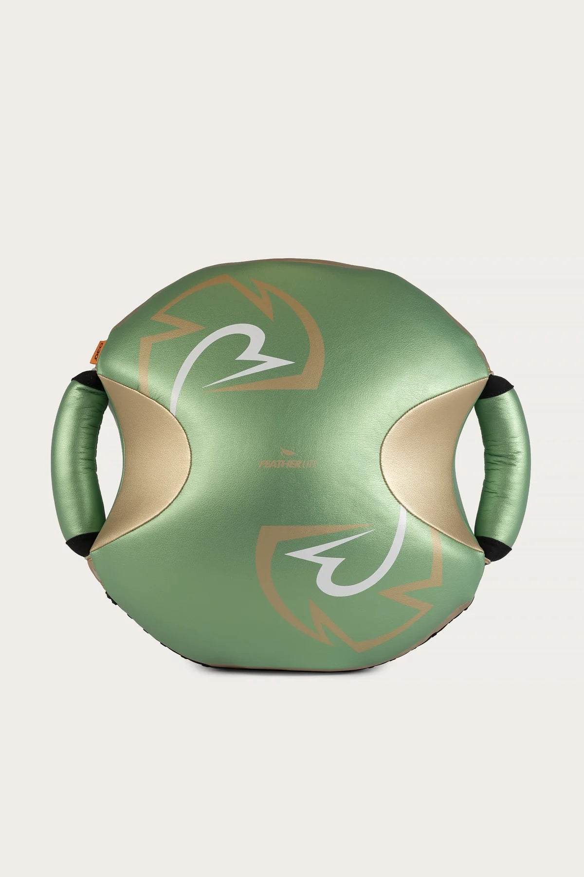 Rival RPS100 Professional Punch Shield