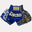 Fluory Silver Leaf Muay Thai Shorts  Fight Co