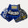 Fluory Silver Leaf Muay Thai Shorts  Fight Co