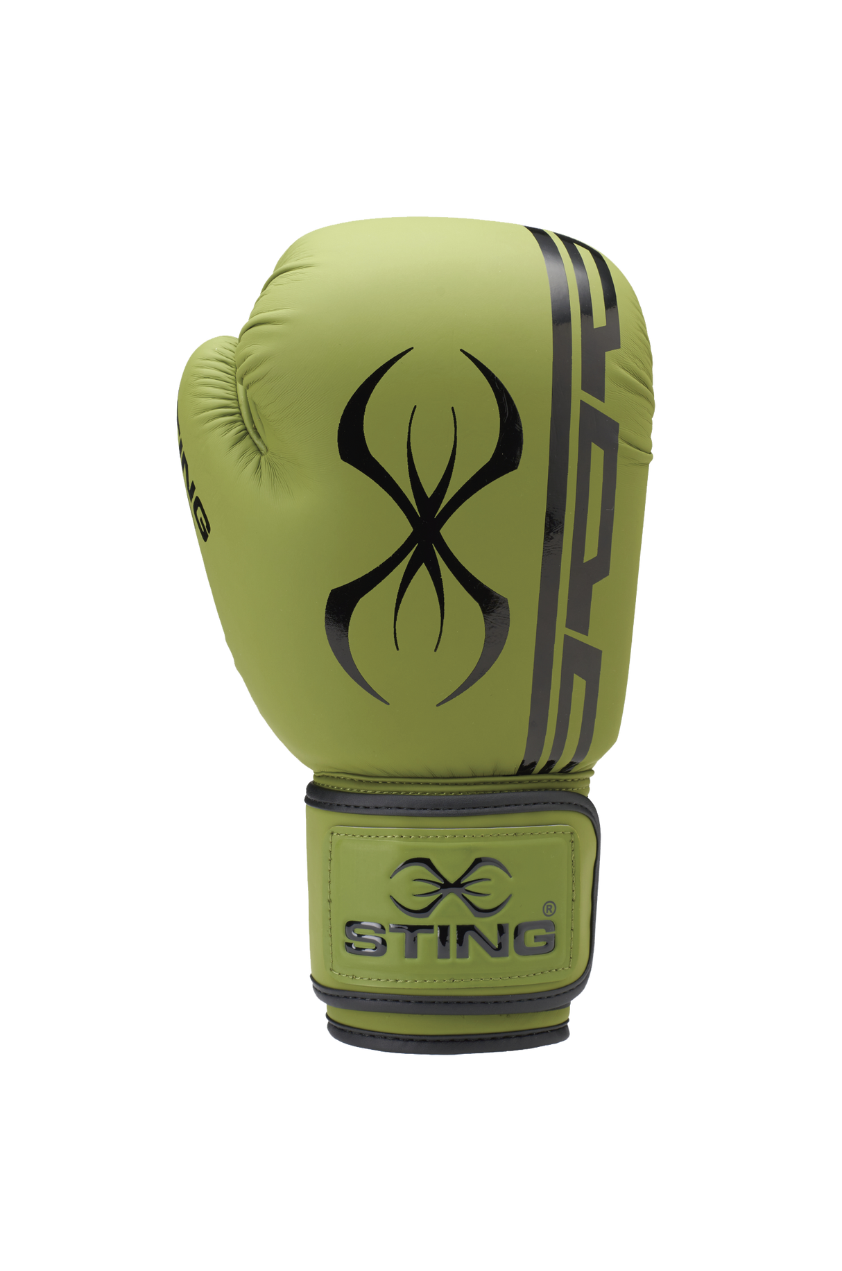 Sting Armaplus Boxing Gloves STING