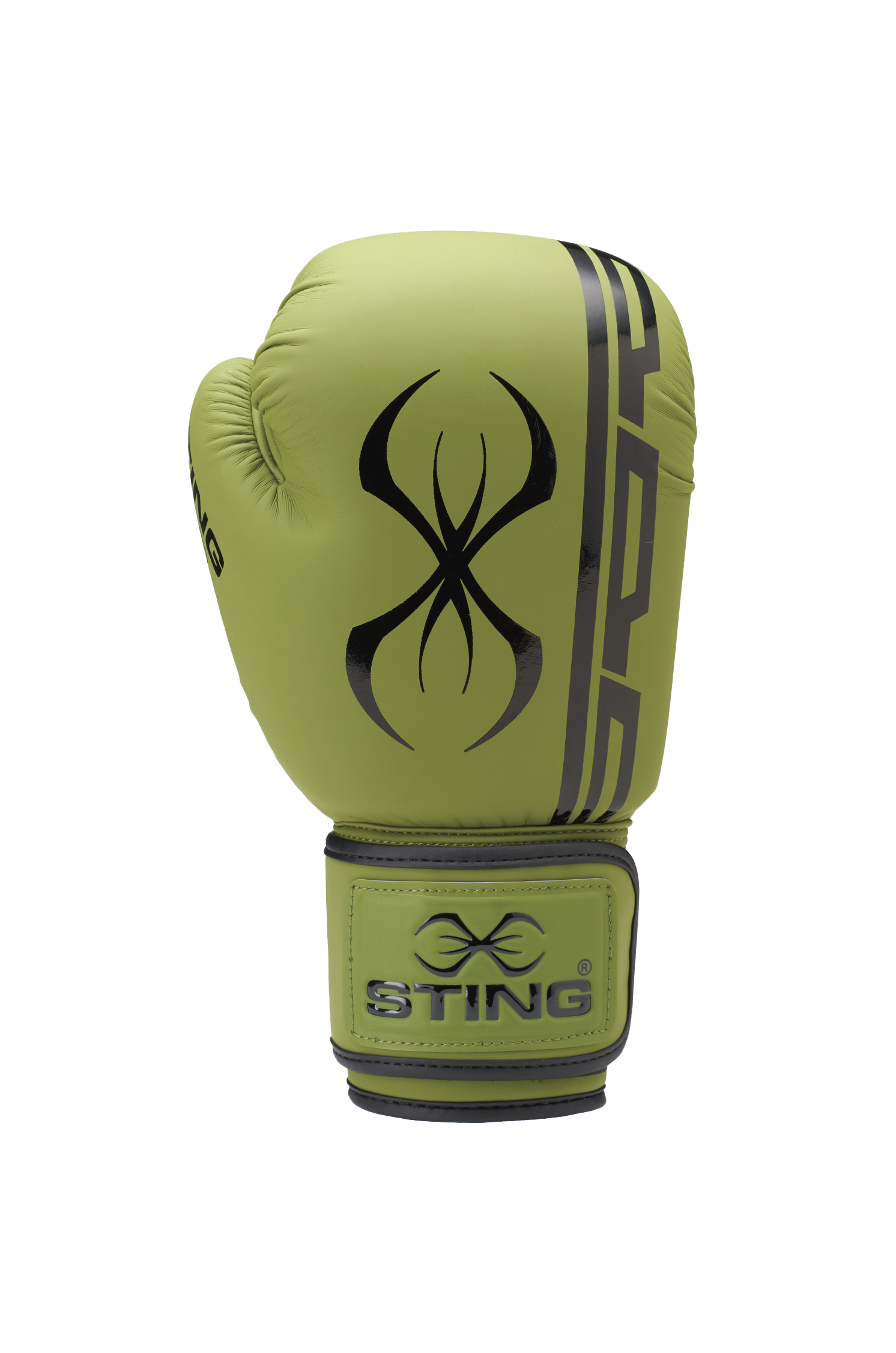 Sting Armaplus Boxing Gloves STING