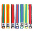 Bytomic Coloured Stripe Martial Arts Belt Bytomic