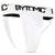 Bytomic Performer Groin Guard - Fight Co