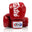 Fairtex Deluxe Tight-Fit Gloves Fairtex