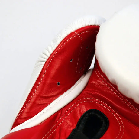 Fairtex Mexican Style Boxing Gloves Fairtex