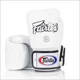 Fairtex Universal Boxing Gloves Fairtex