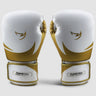Fumetsu Ghost S3 Boxing Gloves