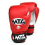 MTG Synthetic Boxing Gloves MTG Pro