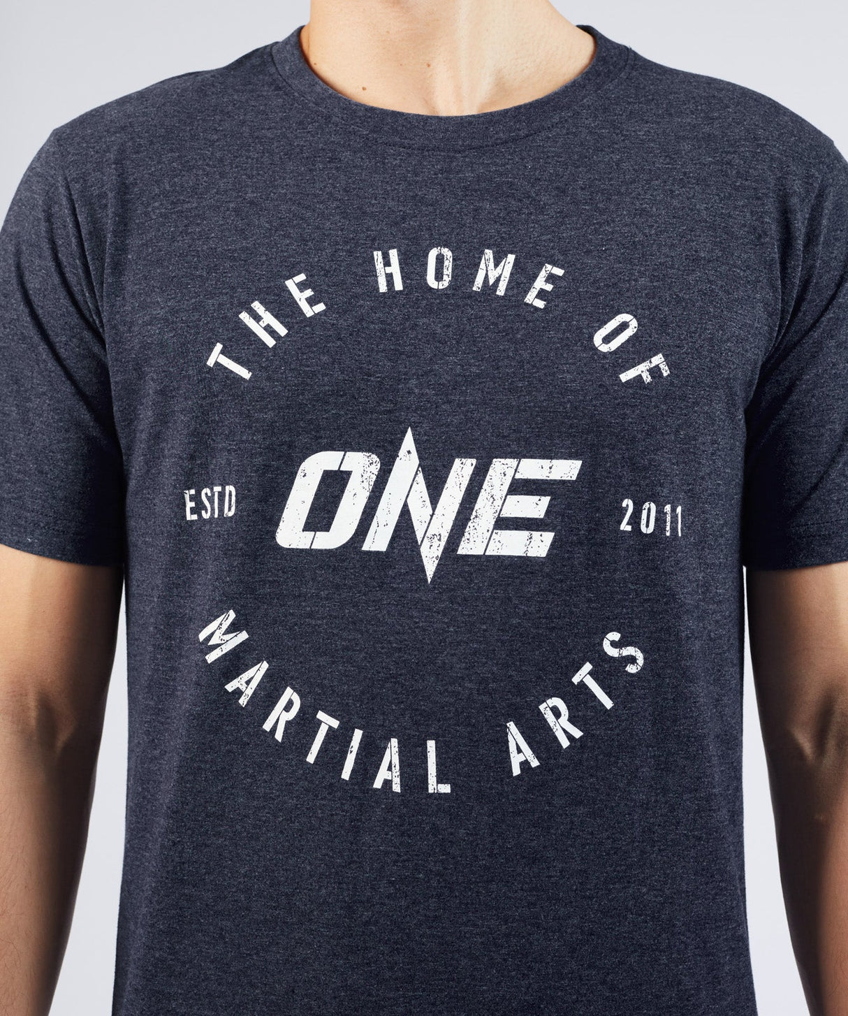 ONE The Home of Martial Arts Vintage T-Shirt- Heather Blue