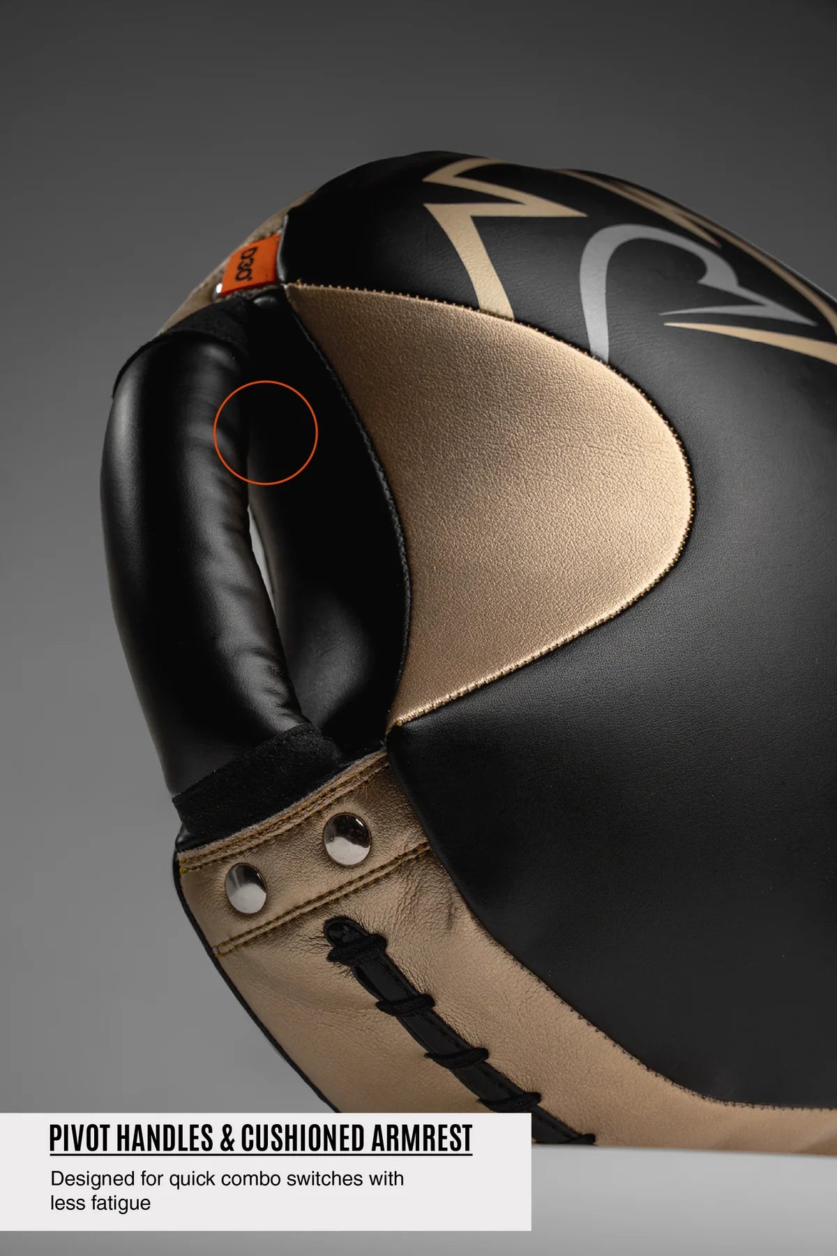 Rival RPS100 Professional Punch Shield