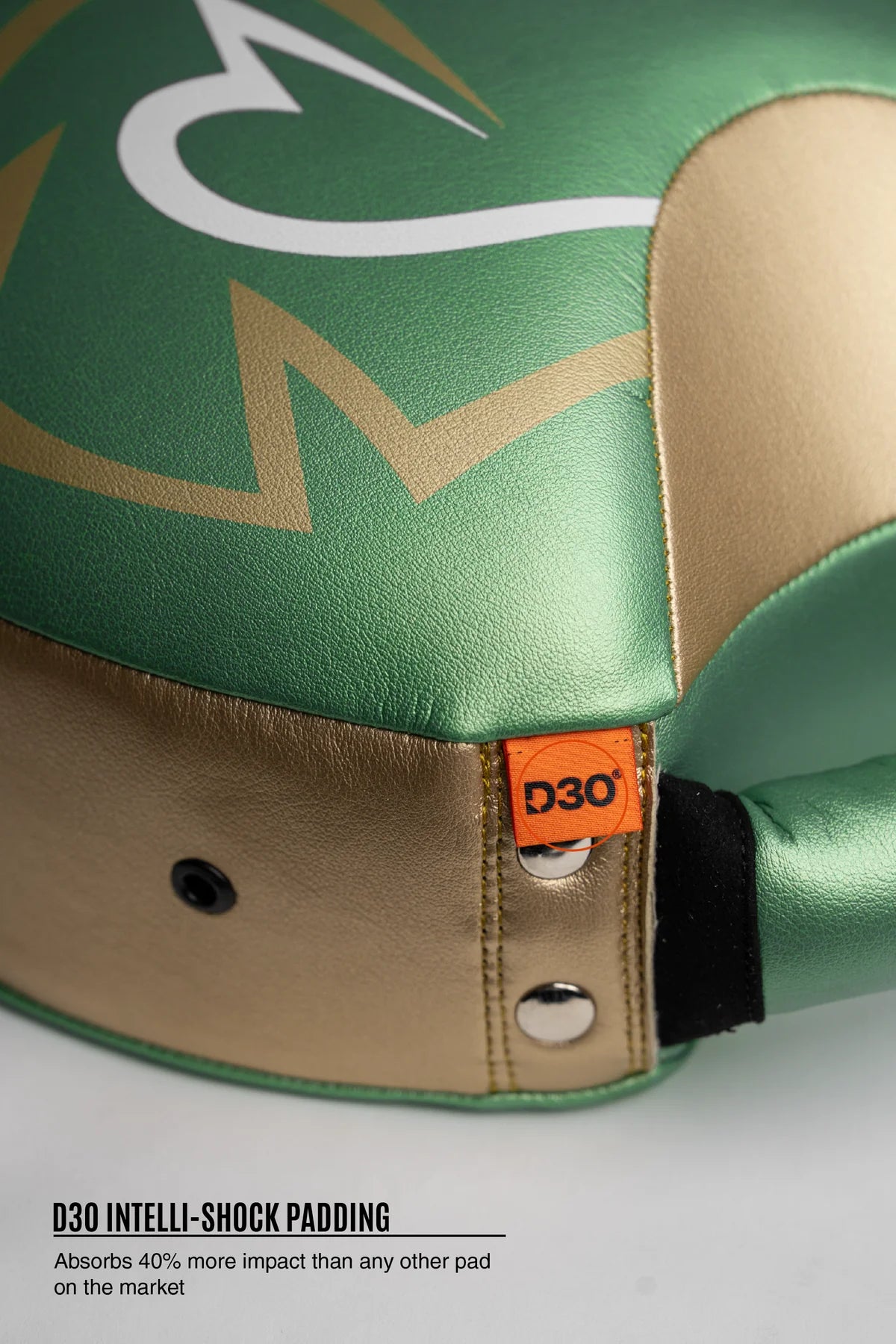 Rival RPS100 Professional Punch Shield
