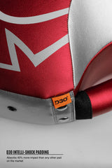 Rival RPS100 Professional Punch Shield