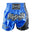 Sandee Unbreakable Thai Shorts Sandee