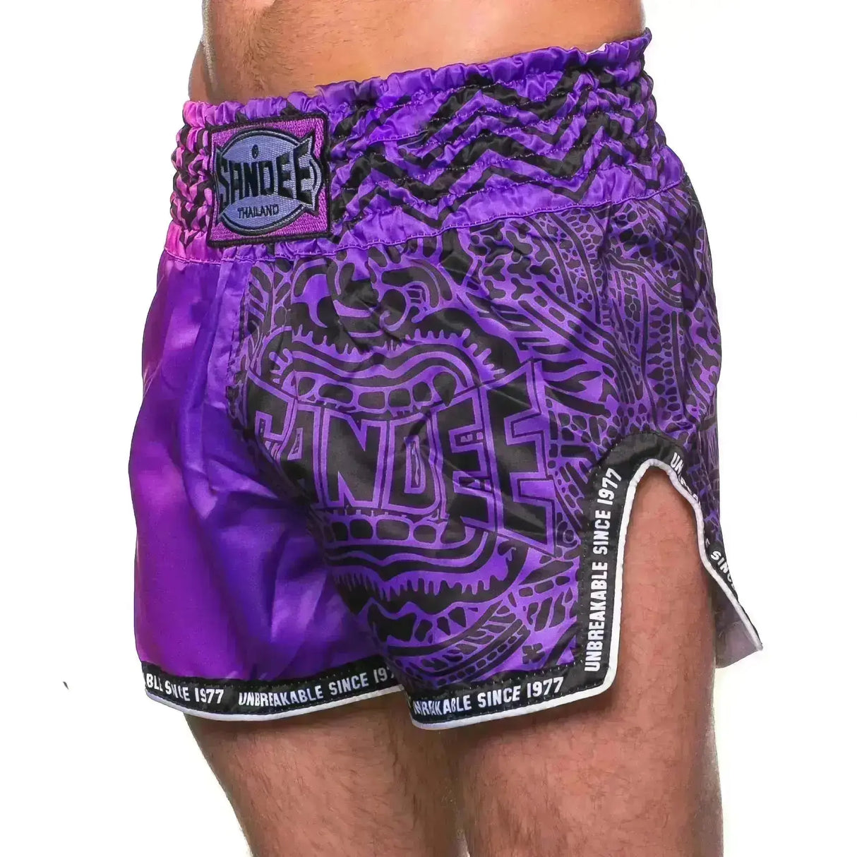 Sandee Warrior Thai Shorts - Fight Co