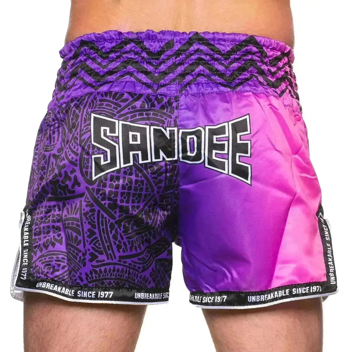 Sandee Warrior Thai Shorts - Fight Co