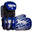 Top Ten Superlight Prism Glossy Pointfighter Gloves Top Ten