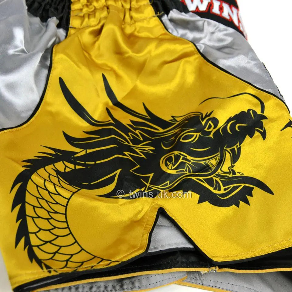 Twins Special Dragon Muay Thai Shorts - Silver & Gold Twins Special