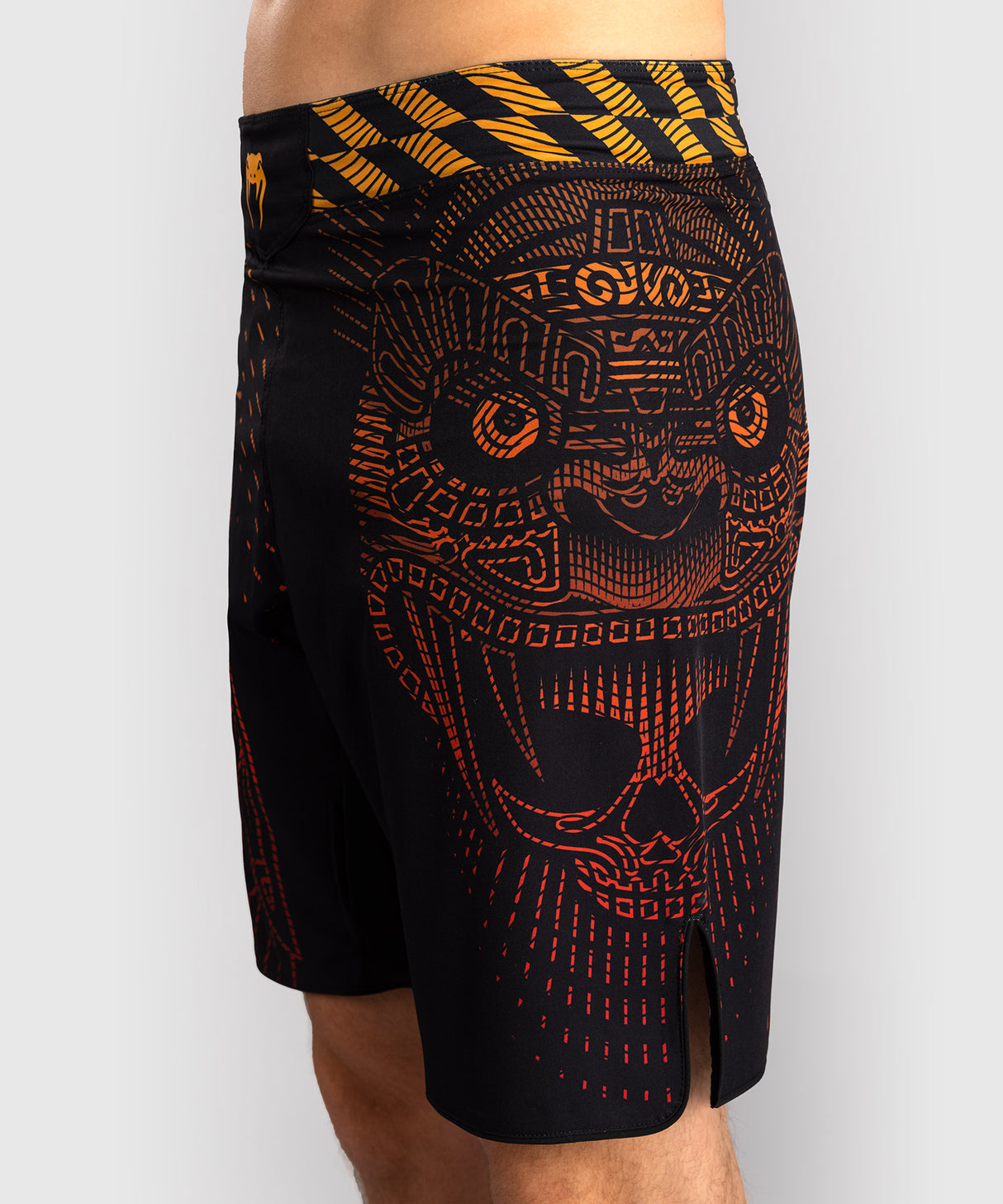Venum Quetzal Fury Men's Fight Shorts