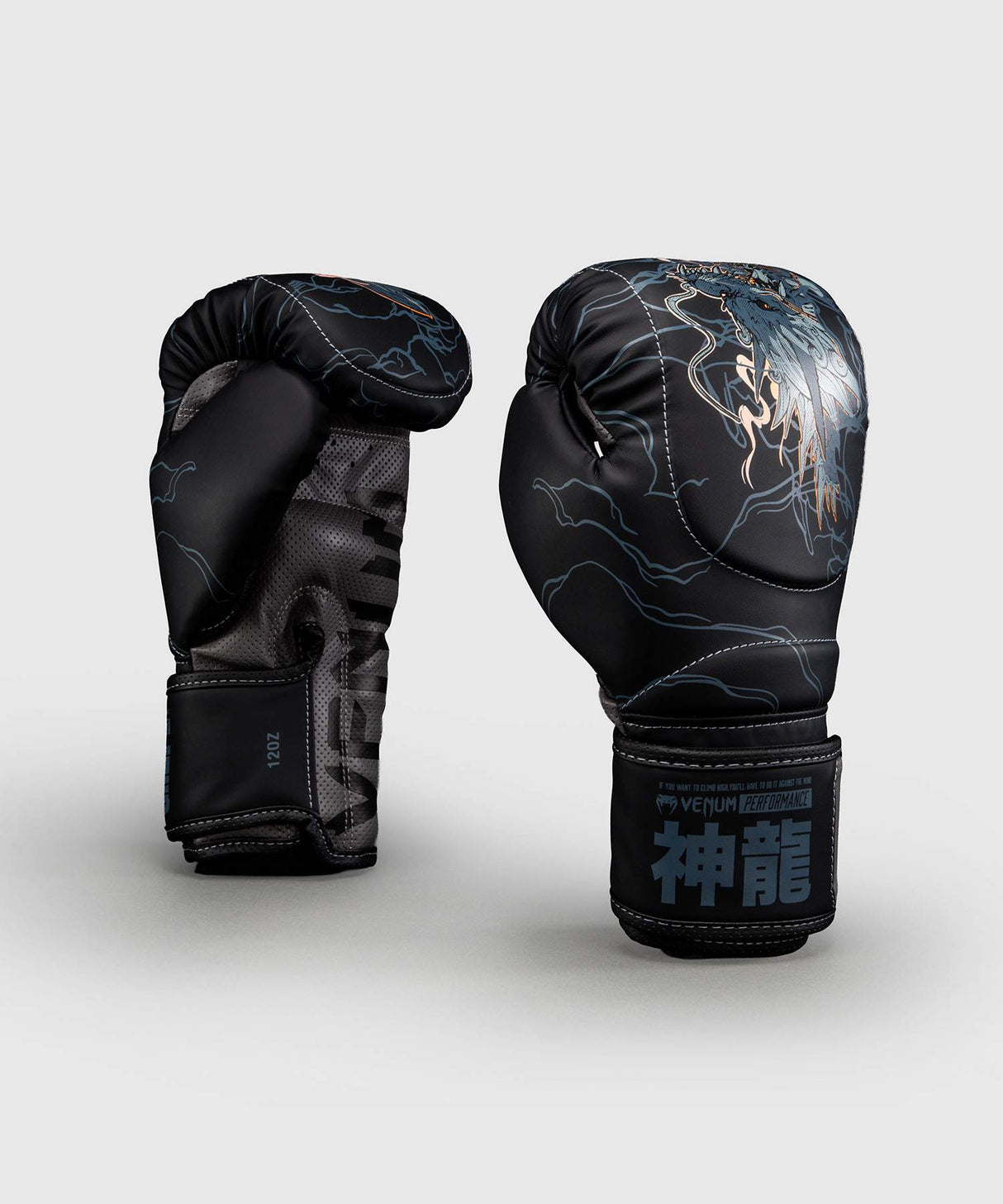 Venum Thunder Dragon Boxing Gloves