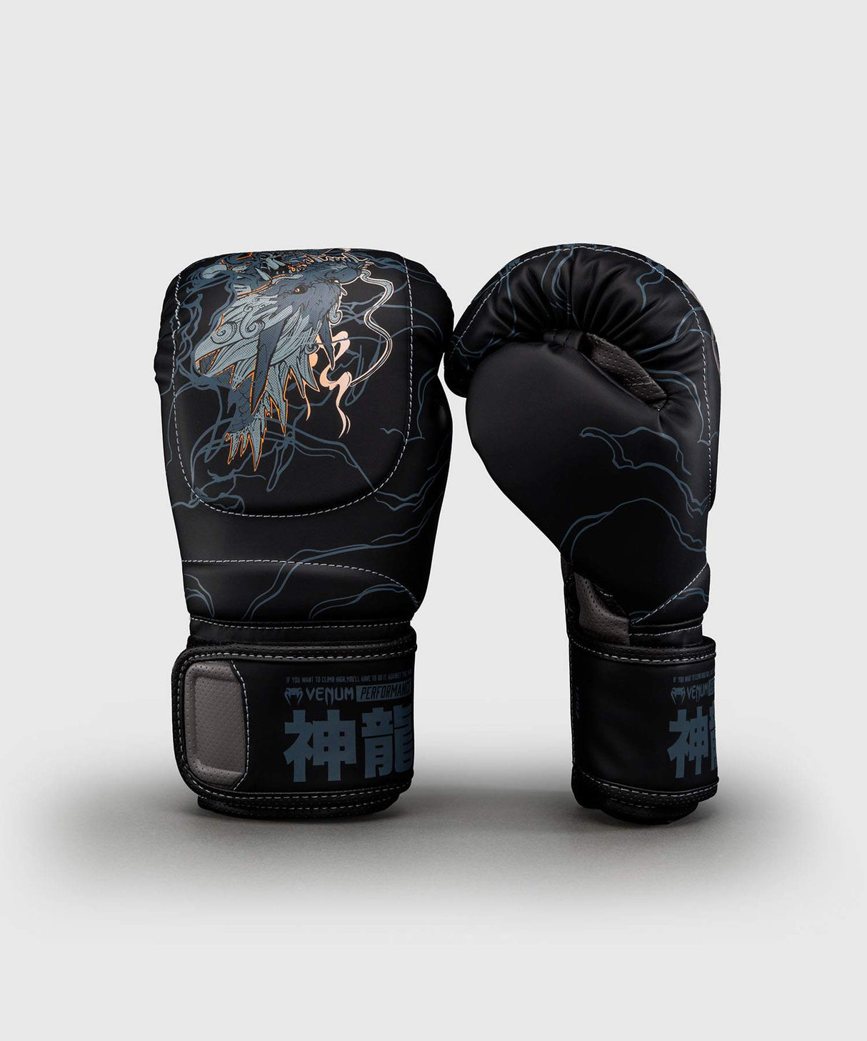 Venum Thunder Dragon Boxing Gloves