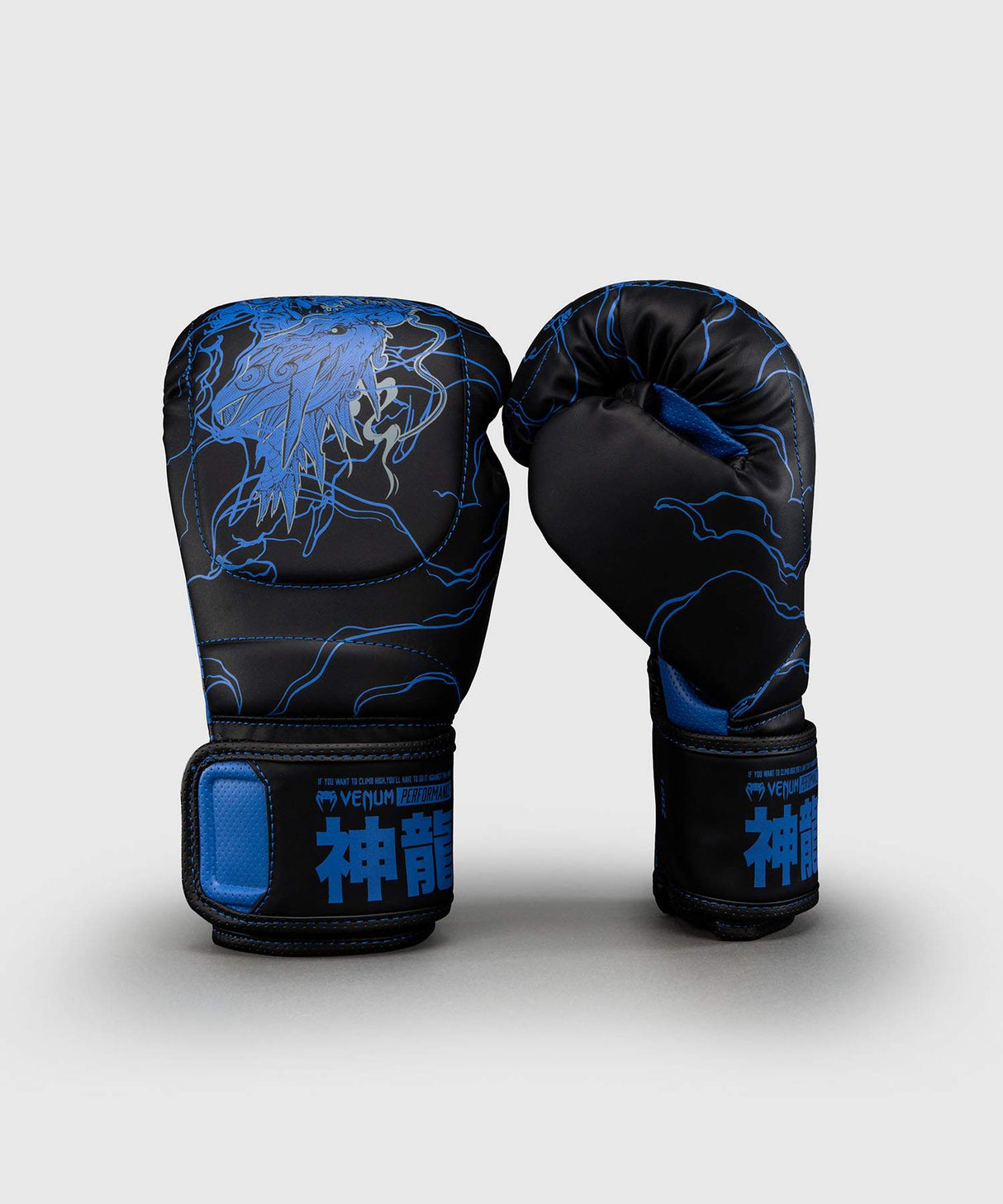 Venum Thunder Dragon Boxing Gloves