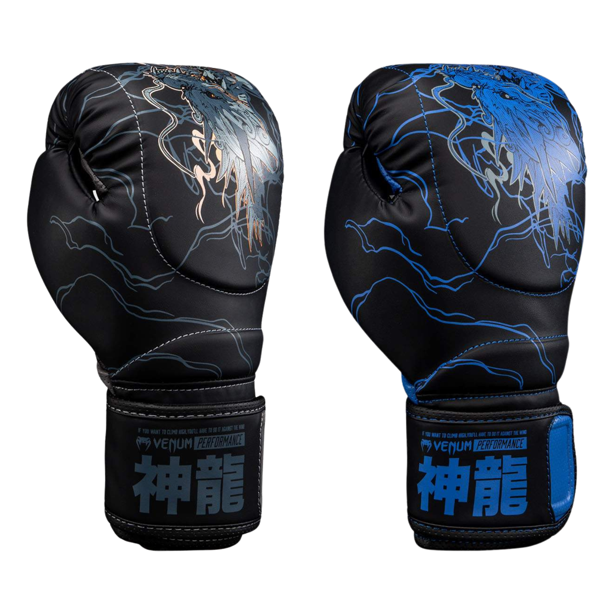 Venum Thunder Dragon Boxing Gloves