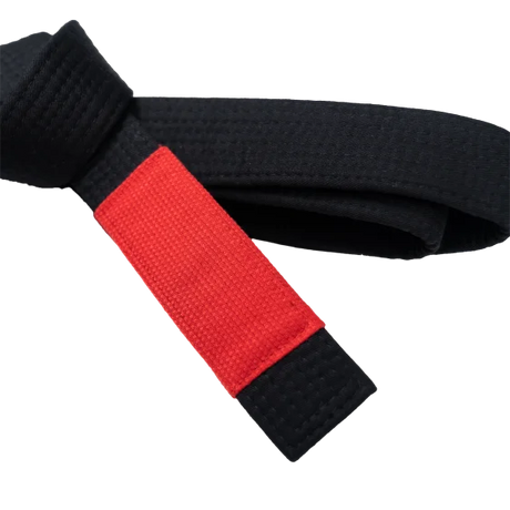 Scramble Kihon BJJ Belt  Fight Co