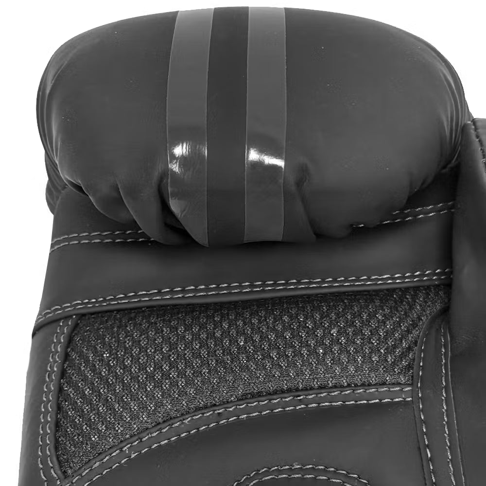Blitz Titan Boxing Gloves