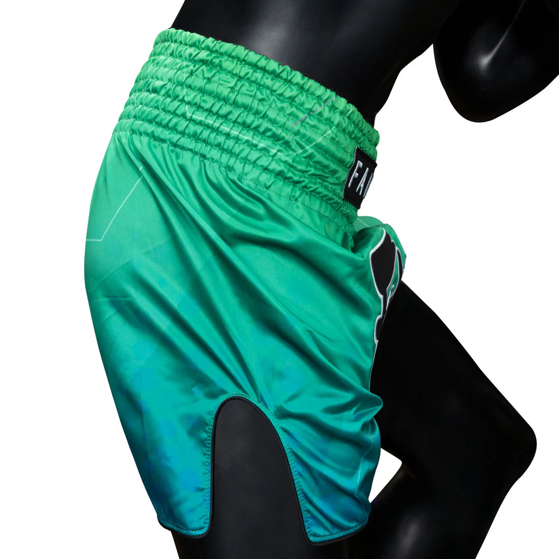 Fairtex Quantum Muay Thai Shorts