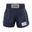 Navy blue boxing shorts with 'Ecoway' branding on a white background