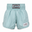 Light blue boxing shorts with brand logos on a white background