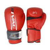 Rival RS60V 2.0 Boxing Sparring Gloves