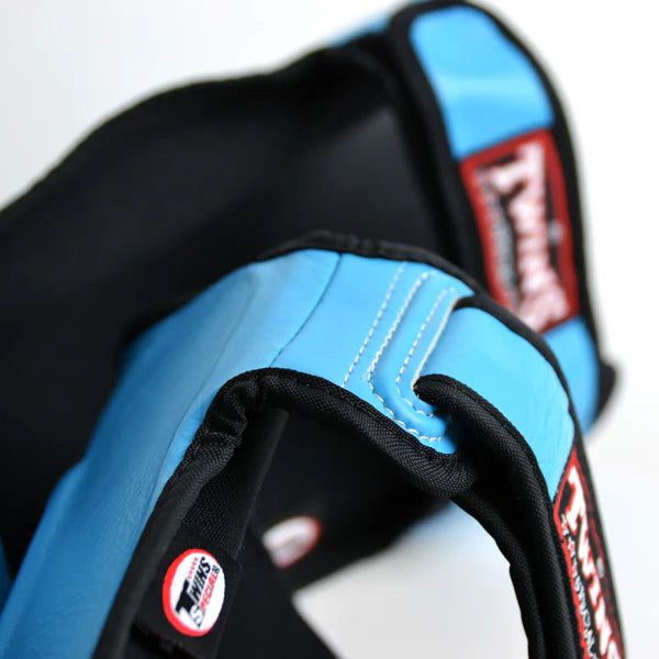 Twins Special SGL10 Leather Shin Guards