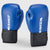 Bytomic Red Label Boxing Glove Bytomic